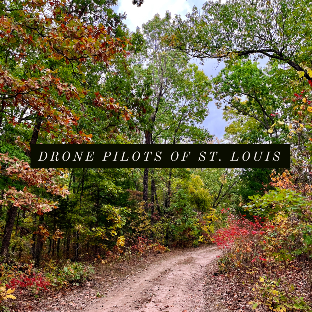 Drone Pilots of St. Louis shares a picture showing fall colors in the woods.